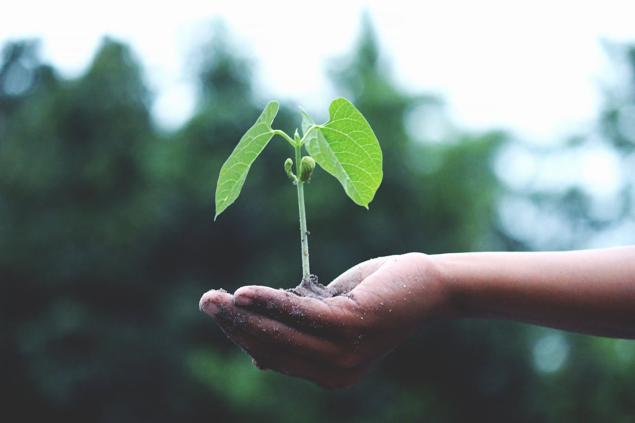 Climatización ecológica — cómo implantar soluciones sostenibles que reducen costes y mejoran la salud en tu planta.